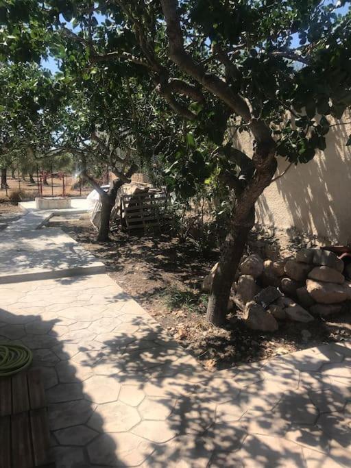 Πέτρινη κατοικία στην Αίγινα - Stone House in Aigina Khloi Εξωτερικό φωτογραφία